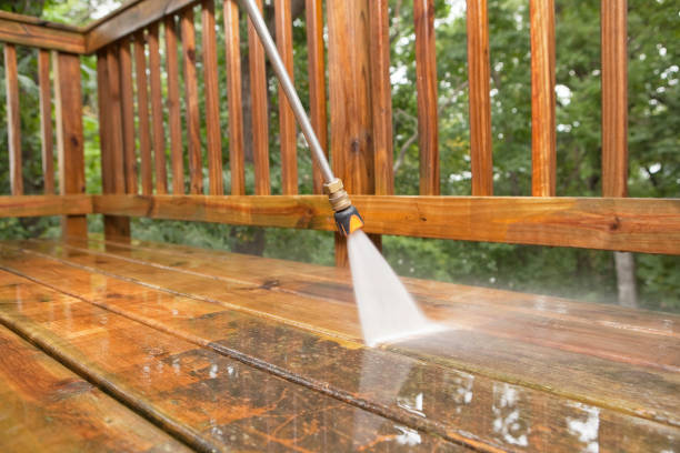 Best Post-Construction Pressure Washing  in Alta, IA